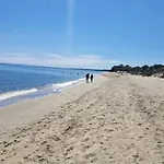 Accueillant A Avec Vue Mer, 27 M² San-Nicolao